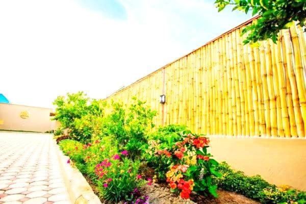 Bed and Breakfast Safi House Boma la Ngombe Екстер'єр фото
