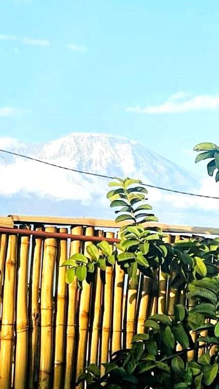 Bed and Breakfast Safi House Boma la Ngombe Екстер'єр фото