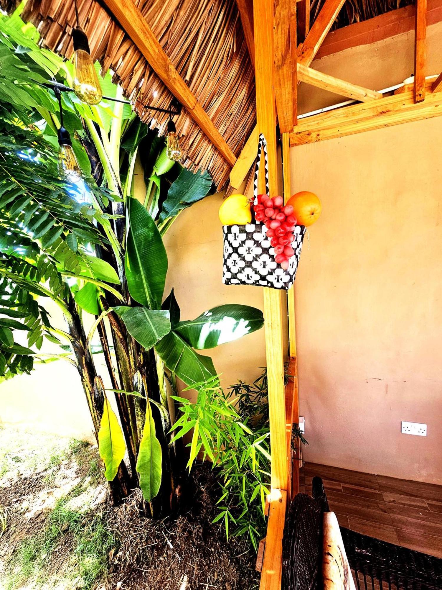 Bed and Breakfast Safi House Boma la Ngombe Екстер'єр фото